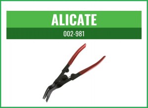 ALICATE6